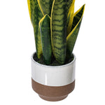 Load image into Gallery viewer, 20.5" -- Green Snake Plant in Brown Ceramic Pot with White Glaze -- Artificial Flower