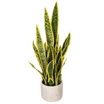 Load image into Gallery viewer, 28" -- Green Snake Plant (with yellow edges) in Gray Cement Pot -- Artificial Flower