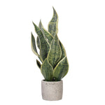 Load image into Gallery viewer, 18" -- Light Green Snake Plant in Gray Speckled Cement Pot -- Artificial Flower