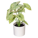 Load image into Gallery viewer, 11.5" -- Light Green Variegated Leaves in Pot (4 Pieces per Bag) -- Artificial Flower