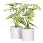 Load image into Gallery viewer, 11.5" -- Light Green Variegated Leaves in Pot (4 Pieces per Bag) -- Artificial Flower