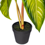 Load image into Gallery viewer, 17" -- Alocasia Frydek Potted Plant -- Artificial Flower
