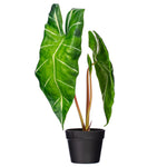 Load image into Gallery viewer, 24" -- Alocasia Zebrina Potted Plant -- Artificial Flower