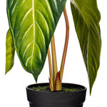 Load image into Gallery viewer, 22" -- Alocasia Longiloba Potted Plant -- Artificial Flower