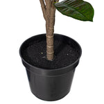 Load image into Gallery viewer, Artificial Croton Potted Tree - Vibrant Tropical Faux Plant -- Various Sizes