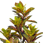 Load image into Gallery viewer, Artificial Croton Potted Tree - Vibrant Tropical Faux Plant -- Various Sizes