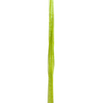 Load image into Gallery viewer, Premium - Pearl Finish Raffia Ribbon --- 1/4in x 100 yards --- Jungle Green Color