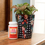 Load image into Gallery viewer, Mod Podge® Gloss-Lustré, Various Sizes