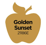 Load image into Gallery viewer, Apple Barrel® Acrylic Paint — Matte — Golden Sunset Color — 2 oz.