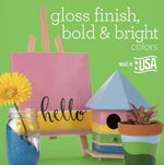 Load image into Gallery viewer, Apple Barrel® Indoor / Outdoor - Gloss™ - Acrylic Craft Paint — White — 2 oz.