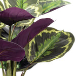 Load image into Gallery viewer, 16" -- Calathea Veitchiana in Black Pot -- Artificial Flower