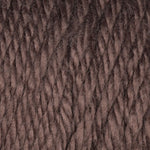 Load image into Gallery viewer, Caron® Simply Soft® Yarn - Various Colors