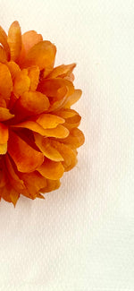 Load image into Gallery viewer, Guest Towel Plain Pique, White Color