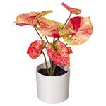 Load image into Gallery viewer, 16" -- Red Variegated Leaves in Pot -- Artificial Flower
