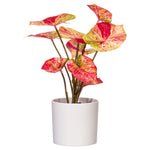Load image into Gallery viewer, 16" -- Red Variegated Leaves in Pot -- Artificial Flower
