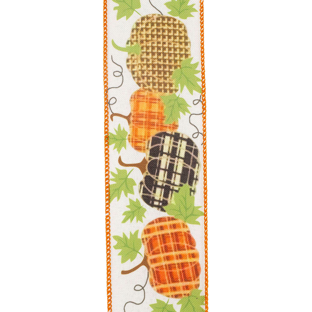 10 yards --- 2 ½ inch -- Pumpkin Patterns Muslin Wired Edge Ribbon