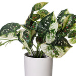 Load image into Gallery viewer, 16" -- Green Variegated Leaves in Pot -- Artificial Flower

