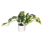 Load image into Gallery viewer, 16" -- Green Variegated Leaves in Pot -- Artificial Flower
