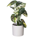 Load image into Gallery viewer, 11.5" -- Green Variegated Leaves in Pot (4 Pieces per Bag) -- Artificial Flower
