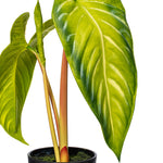 Load image into Gallery viewer, 17" -- Alocasia Frydek Potted Plant -- Artificial Flower
