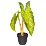 Load image into Gallery viewer, 17" -- Alocasia Frydek Potted Plant -- Artificial Flower

