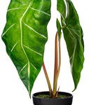 Load image into Gallery viewer, 24" -- Alocasia Zebrina Potted Plant -- Artificial Flower

