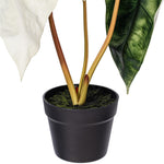 Load image into Gallery viewer, 26" -- Alocasia Sanderiana Potted Plant -- Artificial Flower
