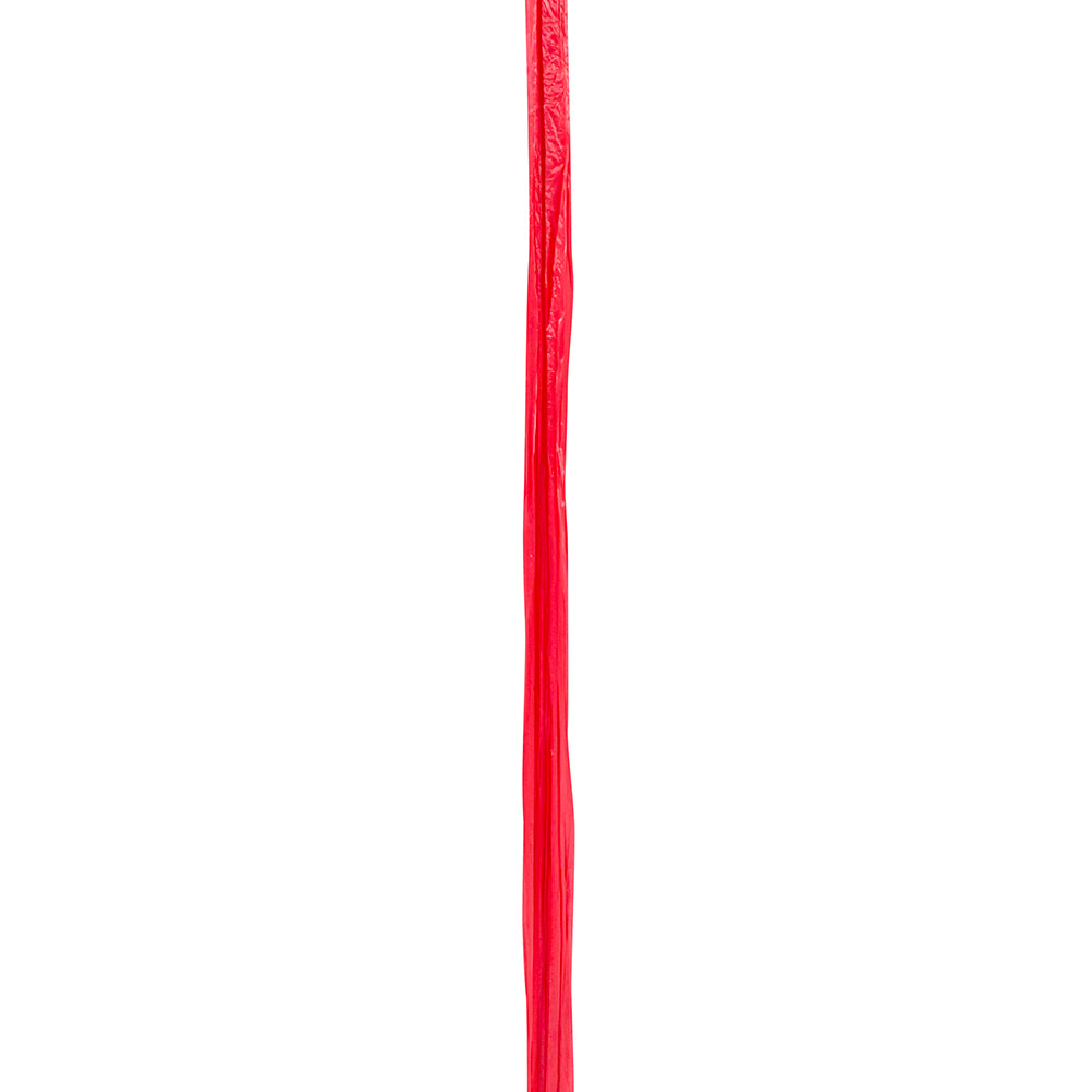 Premium - Matte Finish Raffia Ribbon --- 1/4in x 100 yards --- Neon Coral Color