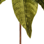 Load image into Gallery viewer, Green Lime Color - Poinsettia Velvet Stem - Artificial Flower Christmas Decoration --- 18” Bloom / 21.5” Length --- 2 per Bag --- by Vickerman®

