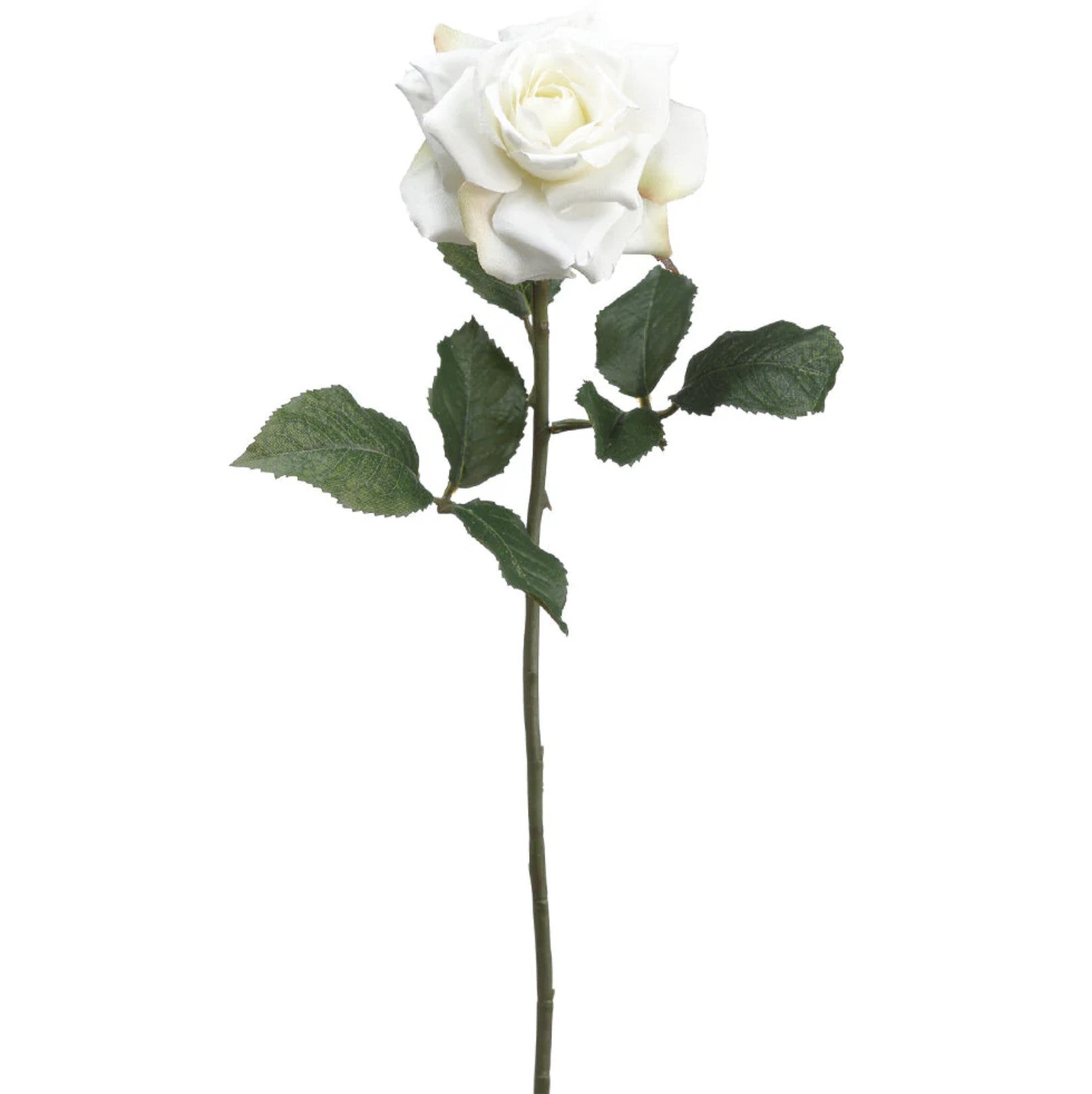 18 in --- Cream Color --- Silk Rose Flower Stem -- Artificial Flower