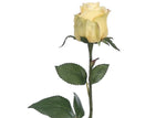 Load image into Gallery viewer, 17.5 in --- Yellow Color - Rose Bud Spray Artificial Flower
