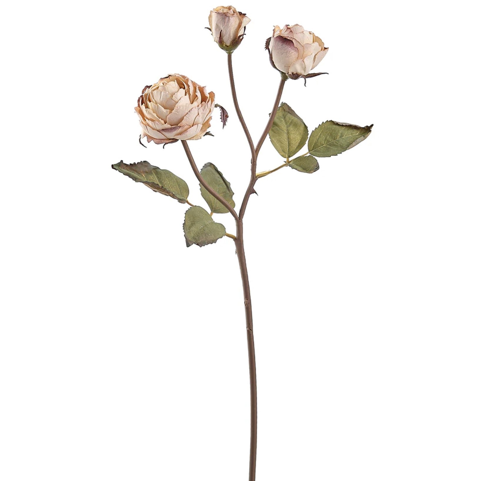 21 in --- Beige Color --- Rose Silk Flower Stem -- Artificial Flower