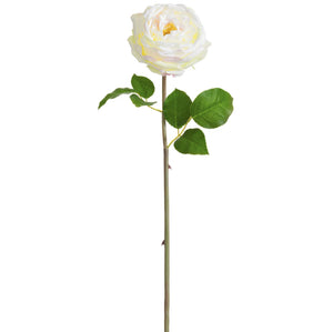 20 in --- Cream / Bush Color --- Silk Cabbage Rose Bud Flower Stem -- Artificial Flower