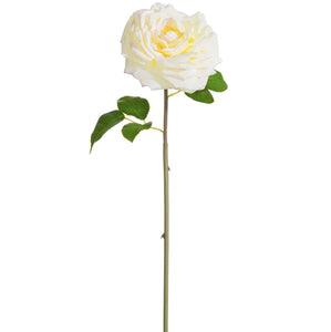 20 in --- Cream / Blush Color --- Silk Open Cabbage Rose Flower Stem -- Artificial Flower