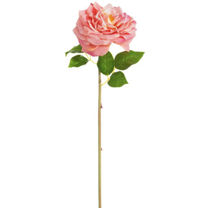 20 in --- Two Tone Rose Color --- Silk Open Cabbage Rose Flower Stem -- Artificial Flower