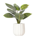 Load image into Gallery viewer, 13" -- Philodendron Birkin in White Ceramic Pot (3 Pieces Set) -- Artificial Flower
