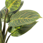 Load image into Gallery viewer, 13" -- Philodendron Birkin in White Ceramic Pot (3 Pieces Set) -- Artificial Flower
