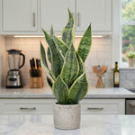 Load image into Gallery viewer, 18" -- Light Green Snake Plant in Gray Speckled Cement Pot -- Artificial Flower
