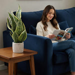 Load image into Gallery viewer, 18" -- Light Green Snake Plant in Gray Speckled Cement Pot -- Artificial Flower
