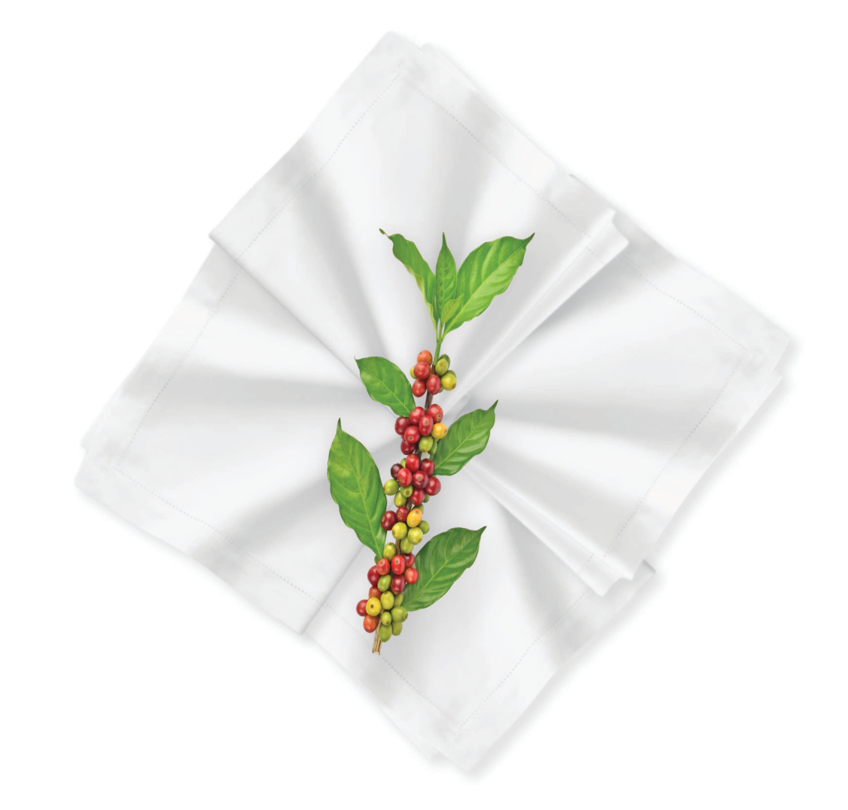White Dinner Napkins with Classic Hemstitch, Various Sizes – Blanks for  Crafters