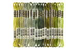 Load image into Gallery viewer, Six Strand Floss, DMC  (Green Forest Colors) 100% Cotton
